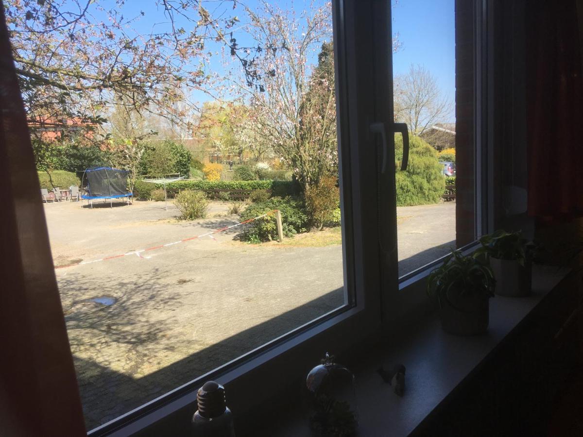 Ferienwohnung Tauchen Im Kreidesee, Keine Monteuerunterkunft Hemmoor Ngoại thất bức ảnh